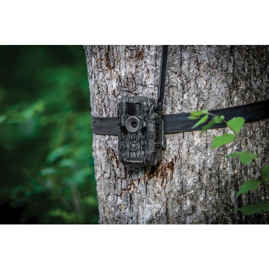 Fusion Max Cellular Trail Cam