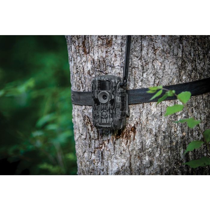 Fusion Max Cellular Trail Cam